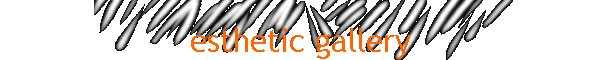 esthetic gallery