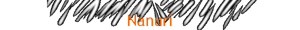 Nanuri