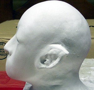 head_22.JPG (26794 octets)
