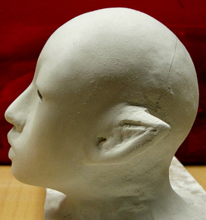 head_25.JPG (27953 octets)