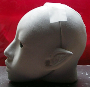 head_45.JPG (21691 octets)