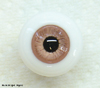 dusky_pink_s.JPG (10725 octets)