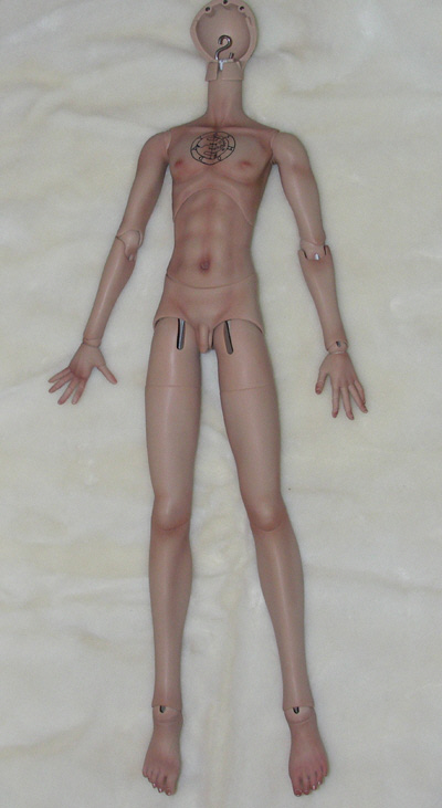 2010_michelle_angellstudioantoine_1.jpg (84888 octets)