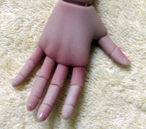 2010_michelle_angellstudioantoine_detail_hand1.jpg (118485 octets)