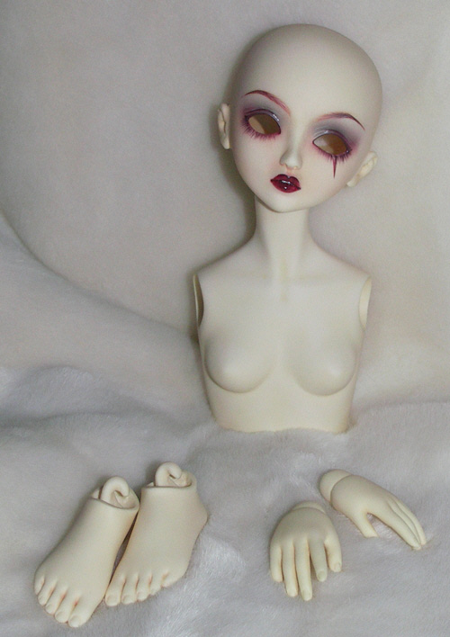2010_tiyuki_cebee_14.jpg (109605 octets)