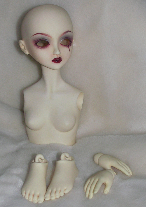 2010_tiyuki_cebee_15.jpg (112340 octets)