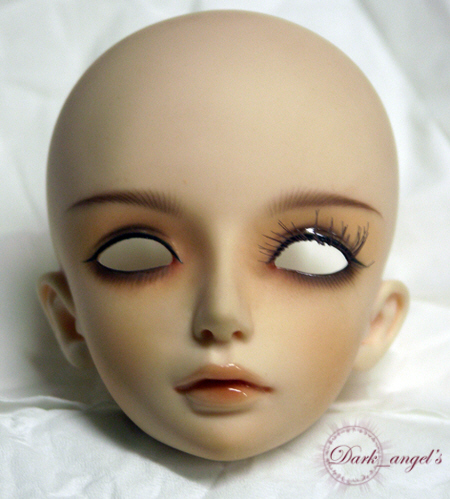 2012_elly_repair_1.jpg (213016 octets)
