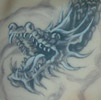 ashes_tattoo_thb.JPG (7868 octets)