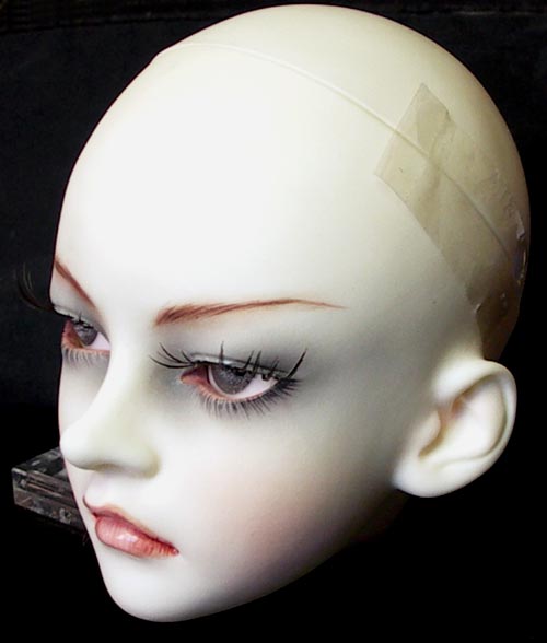 darini_elysia_3.JPG (27701 octets)