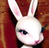 darini_lapin_thb.JPG (7983 octets)