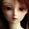 darini_yori_thb.JPG (7080 octets)