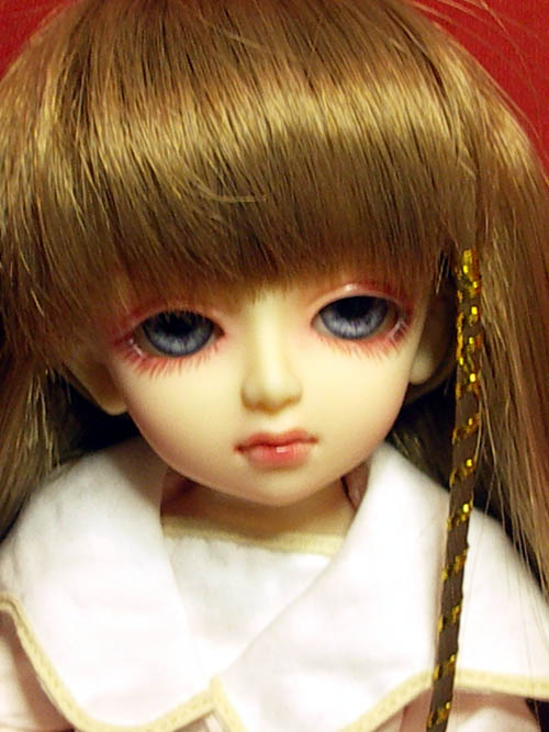 darini_yosdanne_4.JPG (58516 octets)