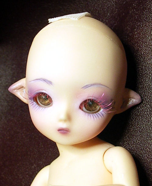 hana_tiny_fin_2.JPG (61804 octets)